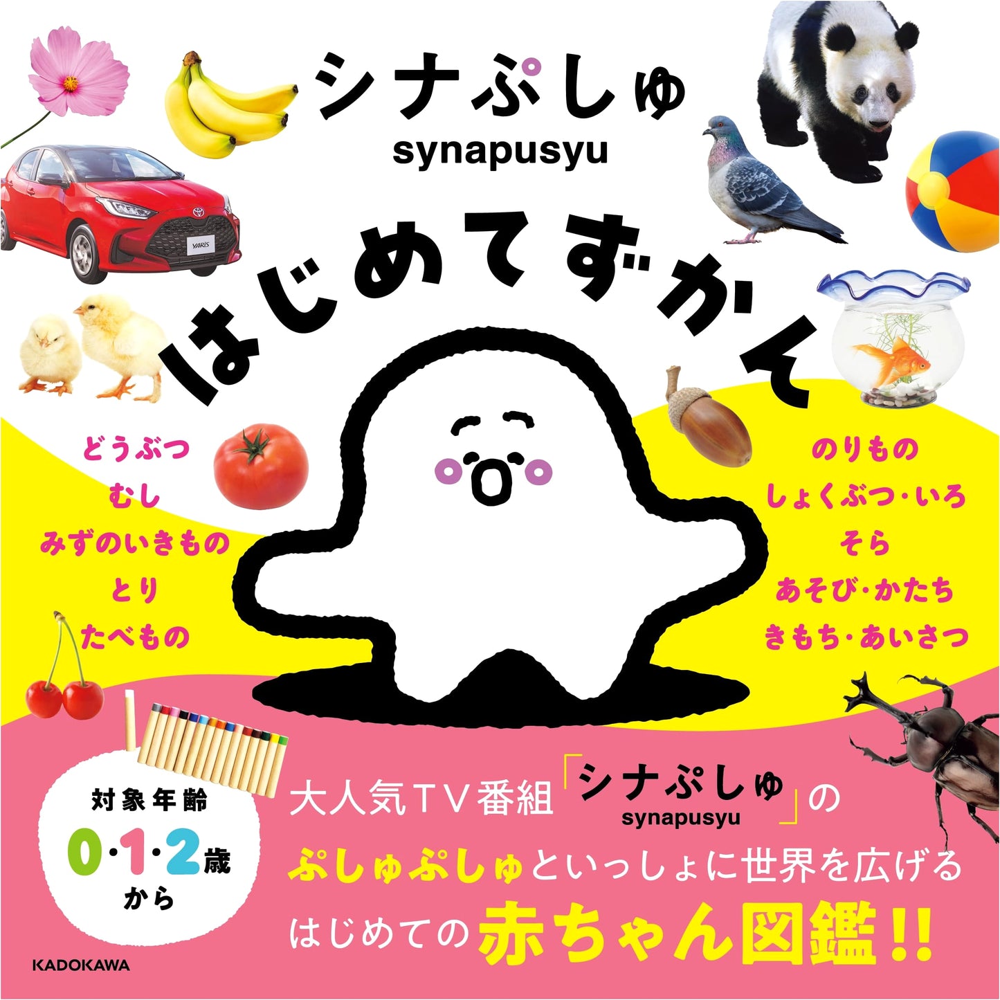 Shinapushu: My First Visual Dictionary