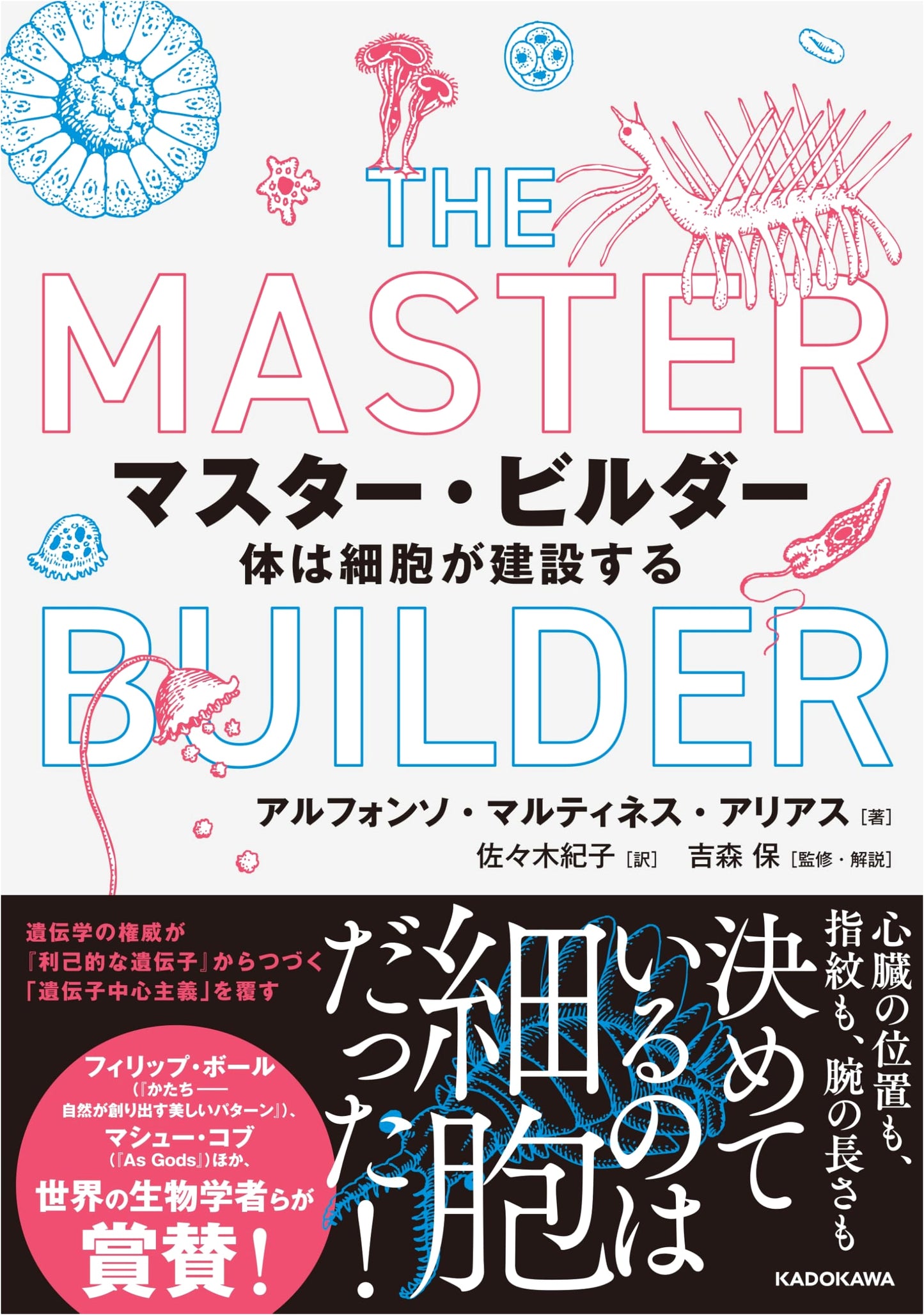 Master Builder: How Cells Construct the Body