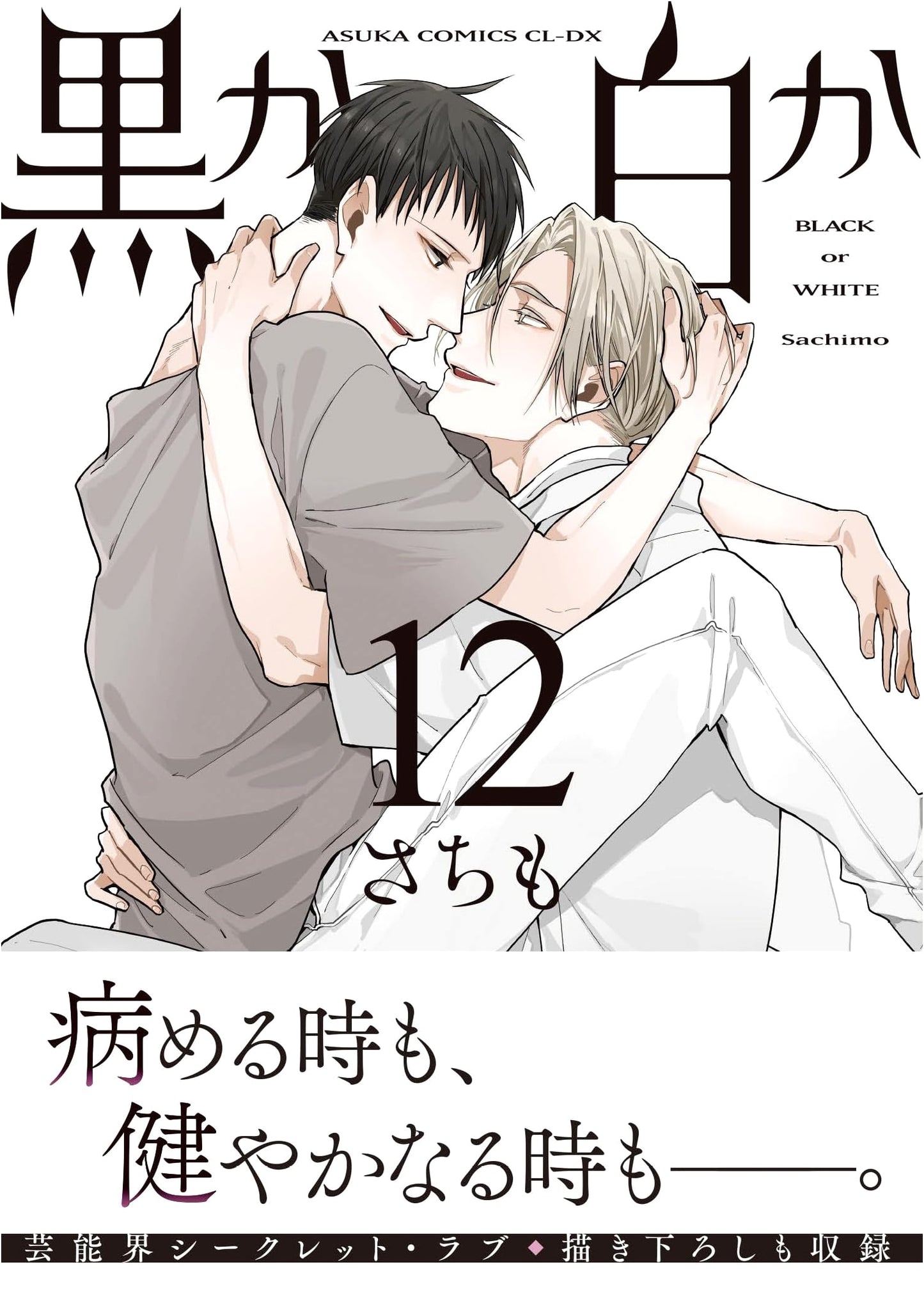 Kuro ka Shiro ka Vol. 12 (Asuka Comics CL-DX)