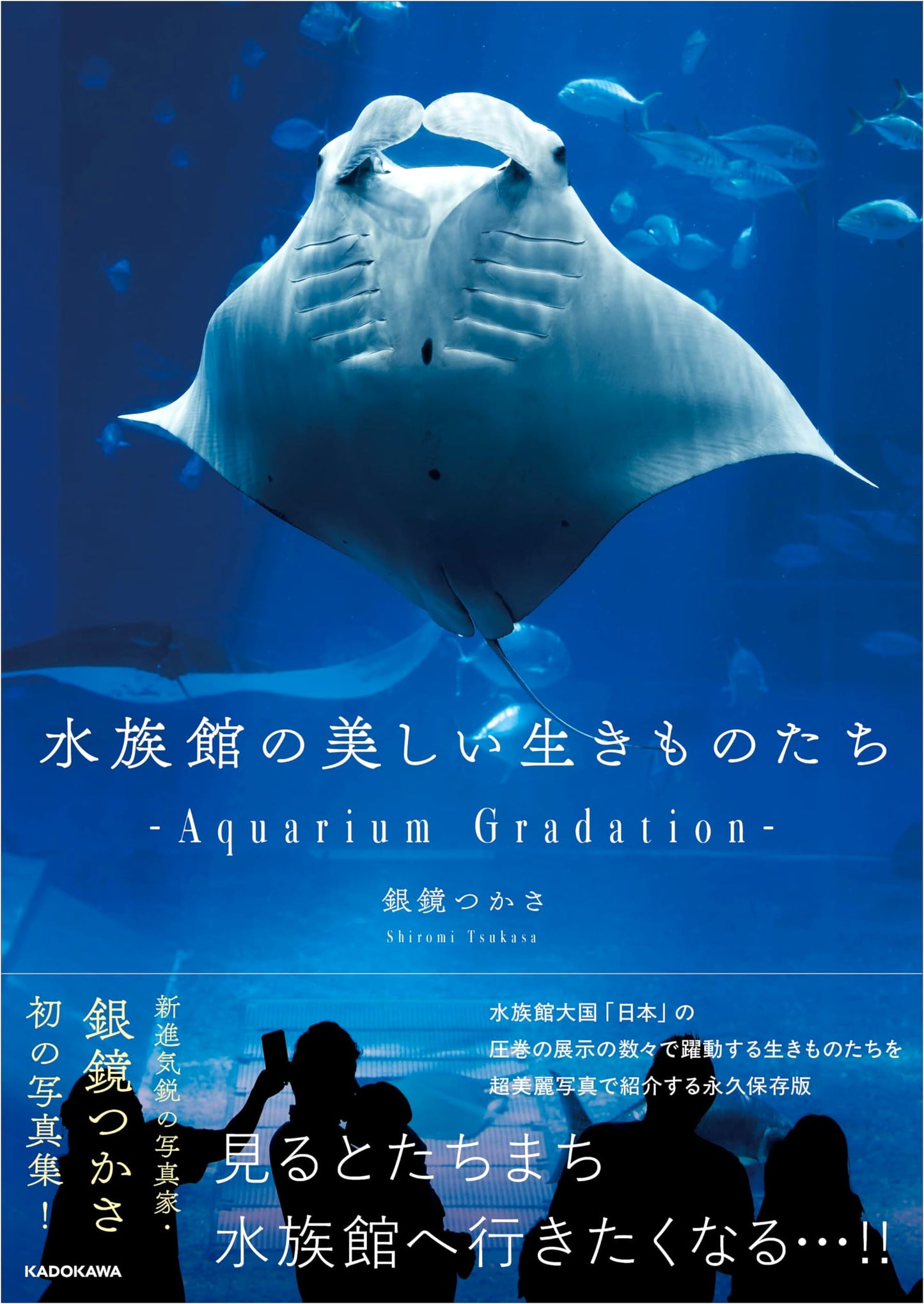 Beautiful Creatures of the Aquarium —Aquarium Gradation—