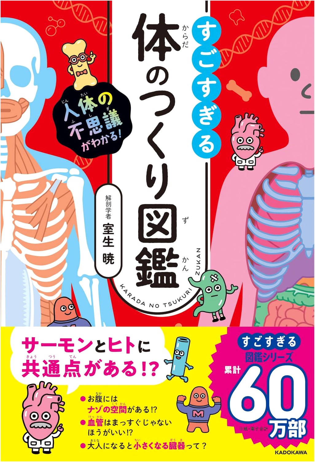Understanding the Wonders of the Human Body! Amazing Body Structure Encyclopedia