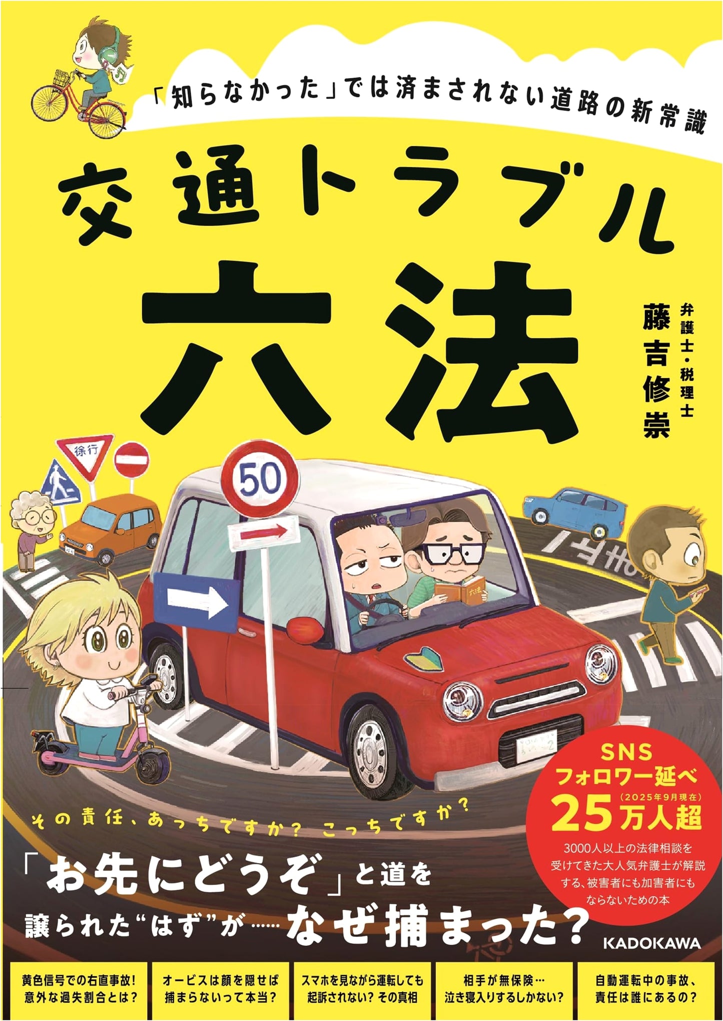 Traffic Trouble Law: New Common Sense of the Road You Can't Ignore