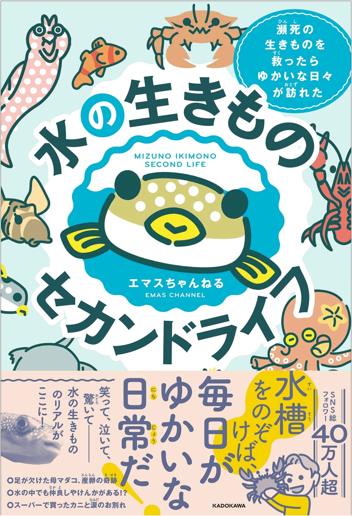 Aquatic Creatures' Second Life: Joyful Days After Rescuing Dying Animals