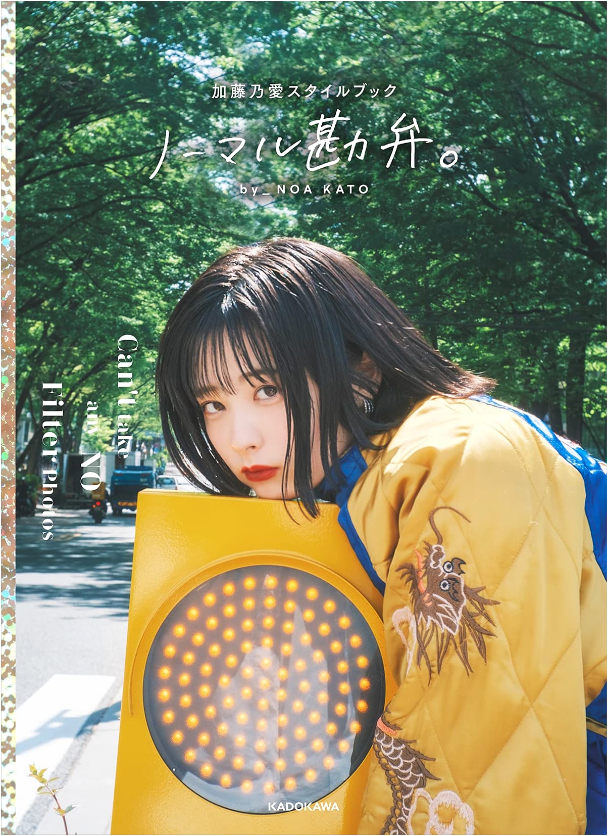 Noa Kato Stylebook: Normal, Please Forgive Me