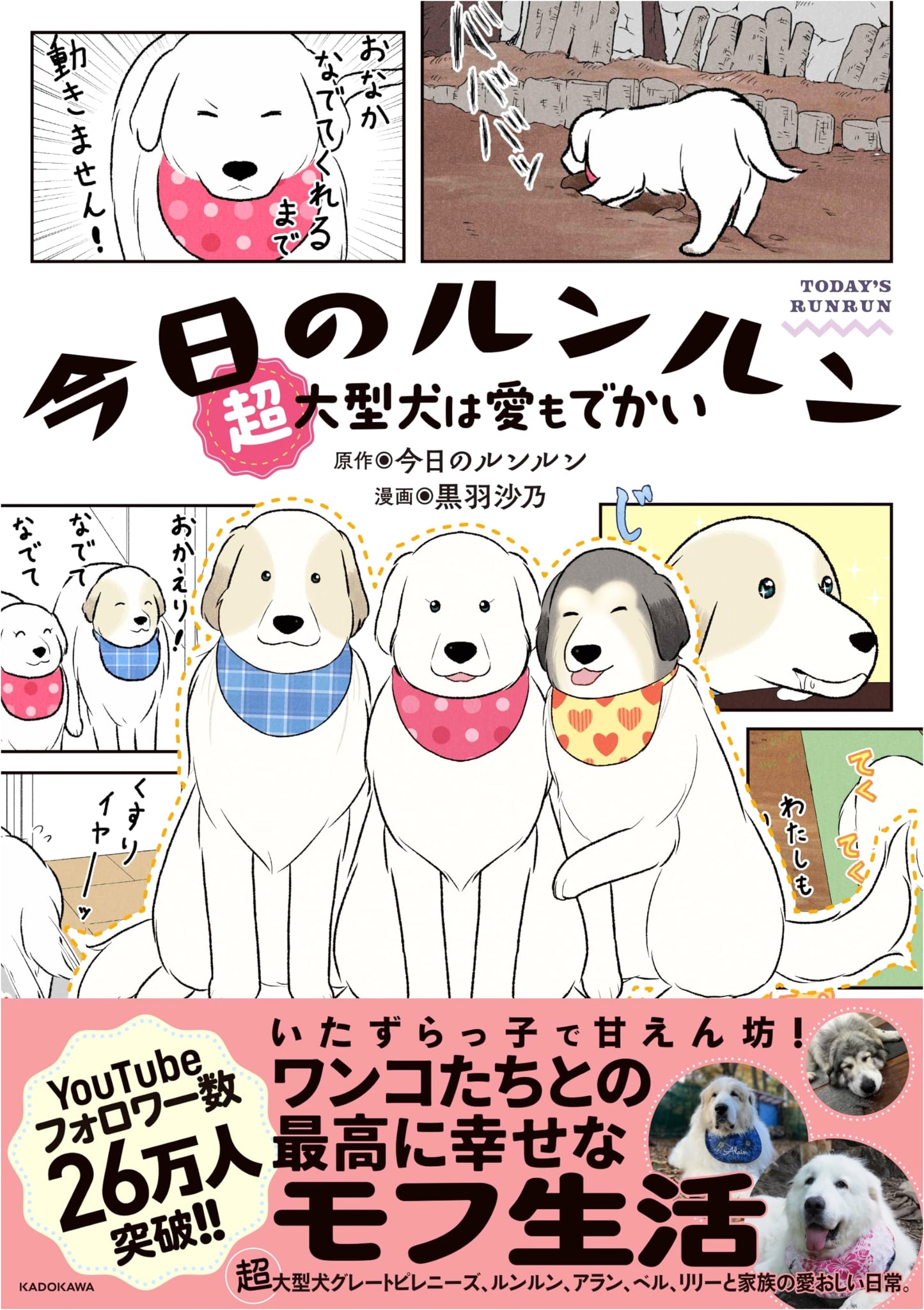 Today's RunRun: A Giant Dog's Love is Giant-Sized