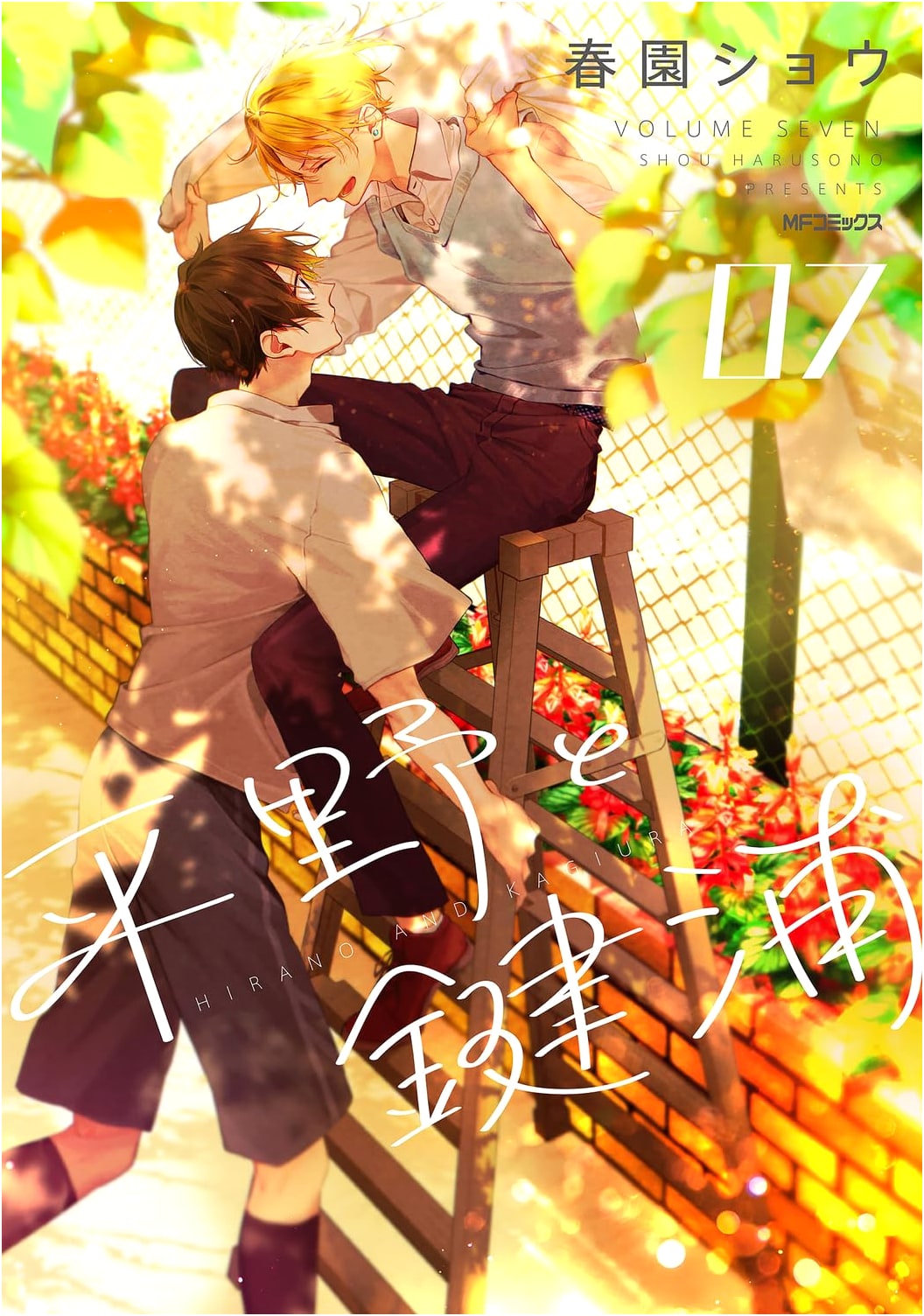 Hirano and Kagiura Vol. 07 (MF Comics Gene Series)