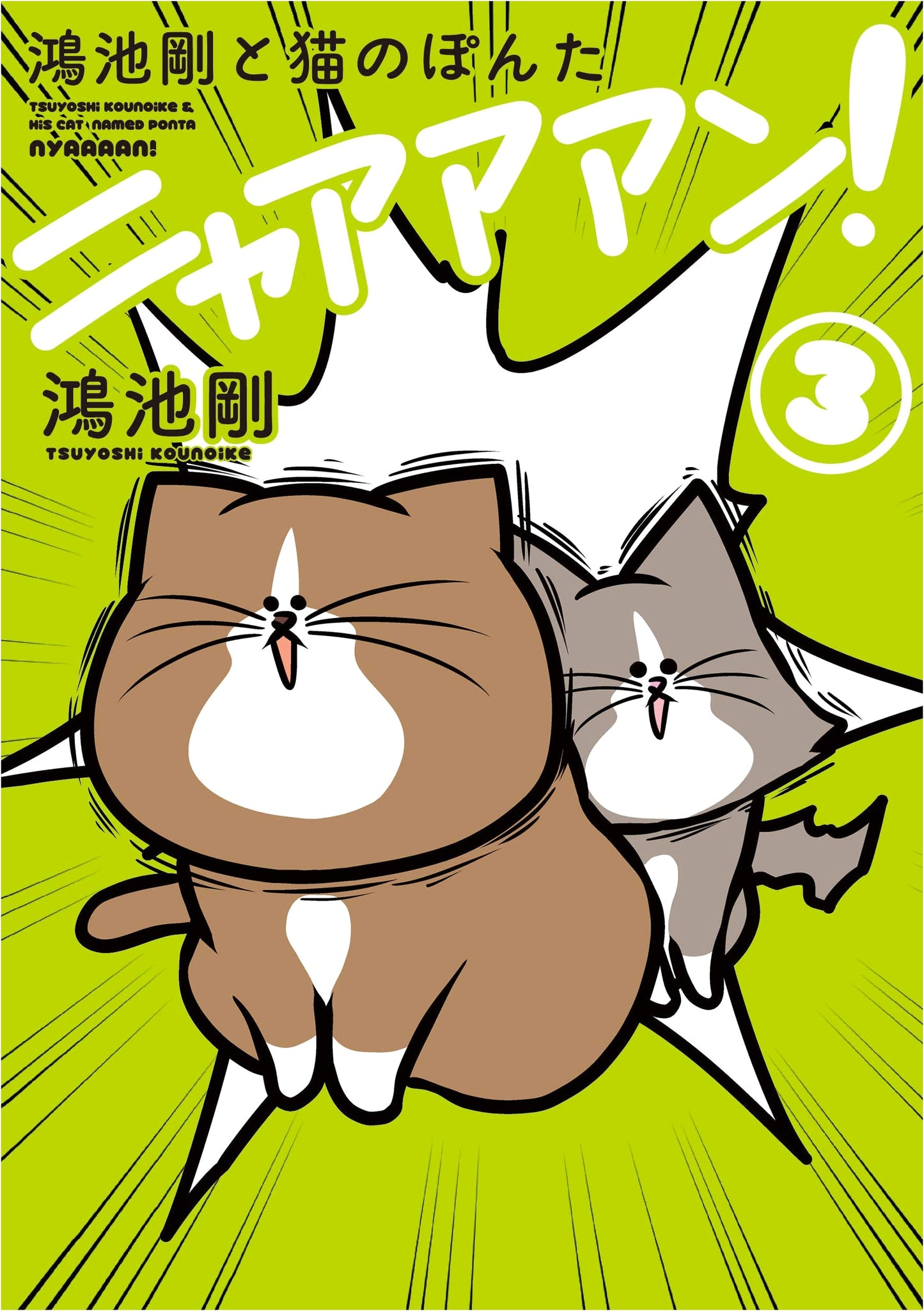Gon Koiike and Ponta the Cat Vol. 3