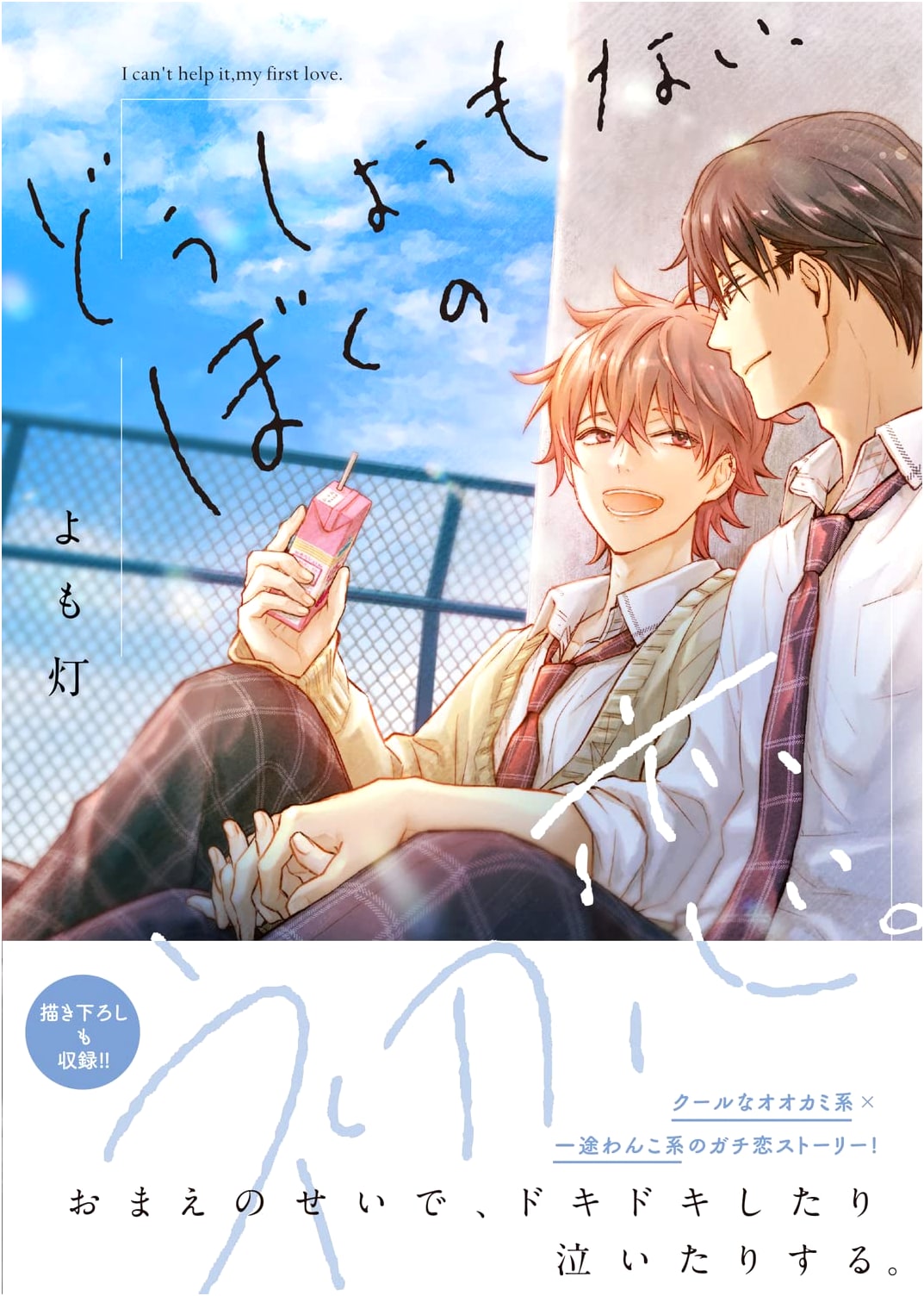 My Irresistible First Love (B's-LOVEY COMICS)
