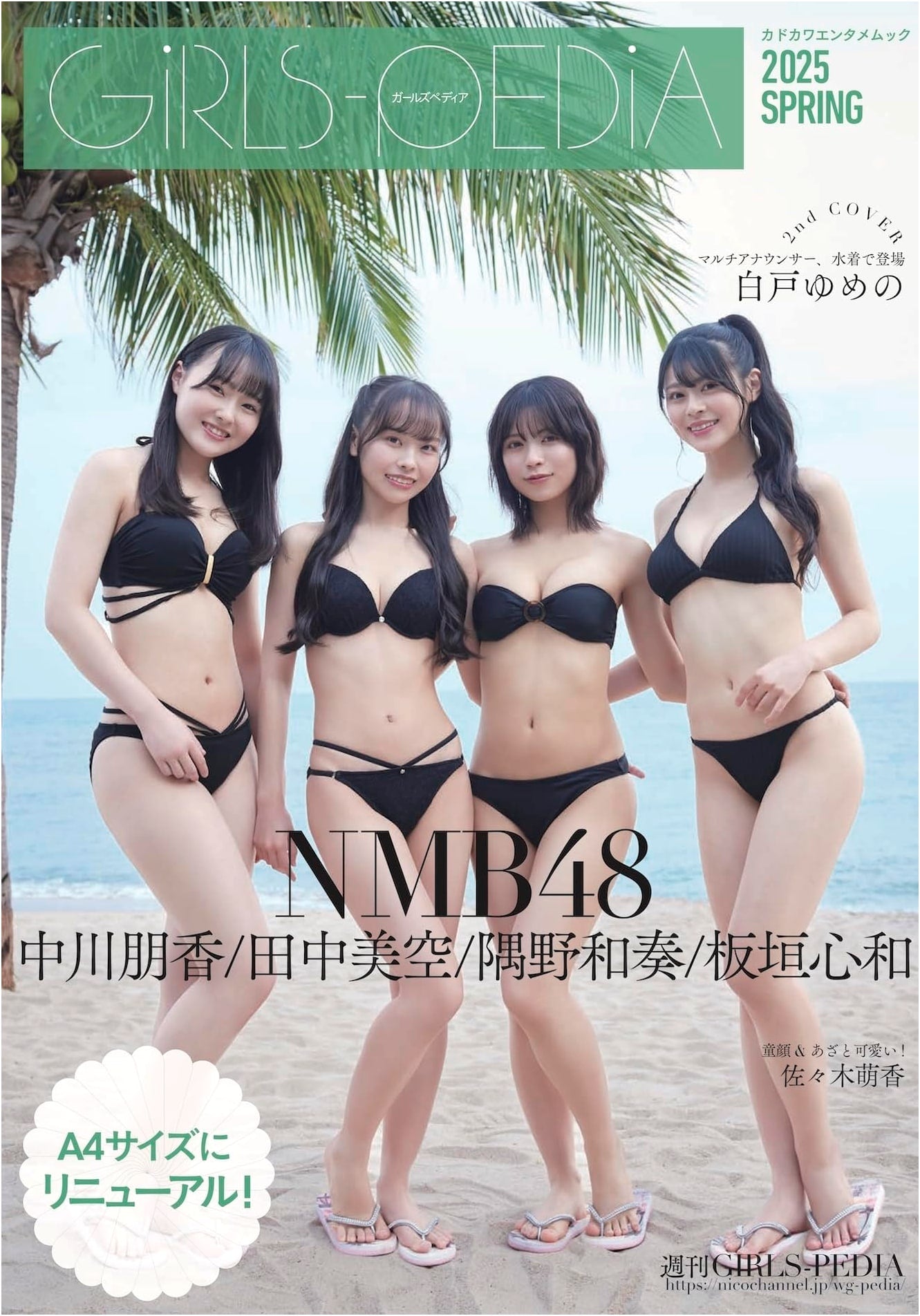 GIRLS-PEDIA 2025 SPRING: KADOKAWA Entertainment Mook