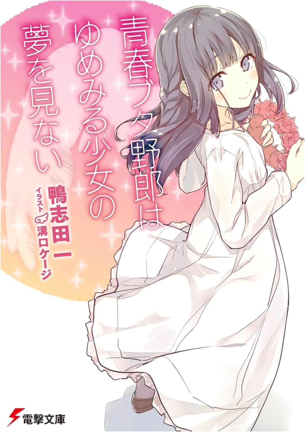 Rascal Does Not Dream of a Dreaming Girl (Light Novel)