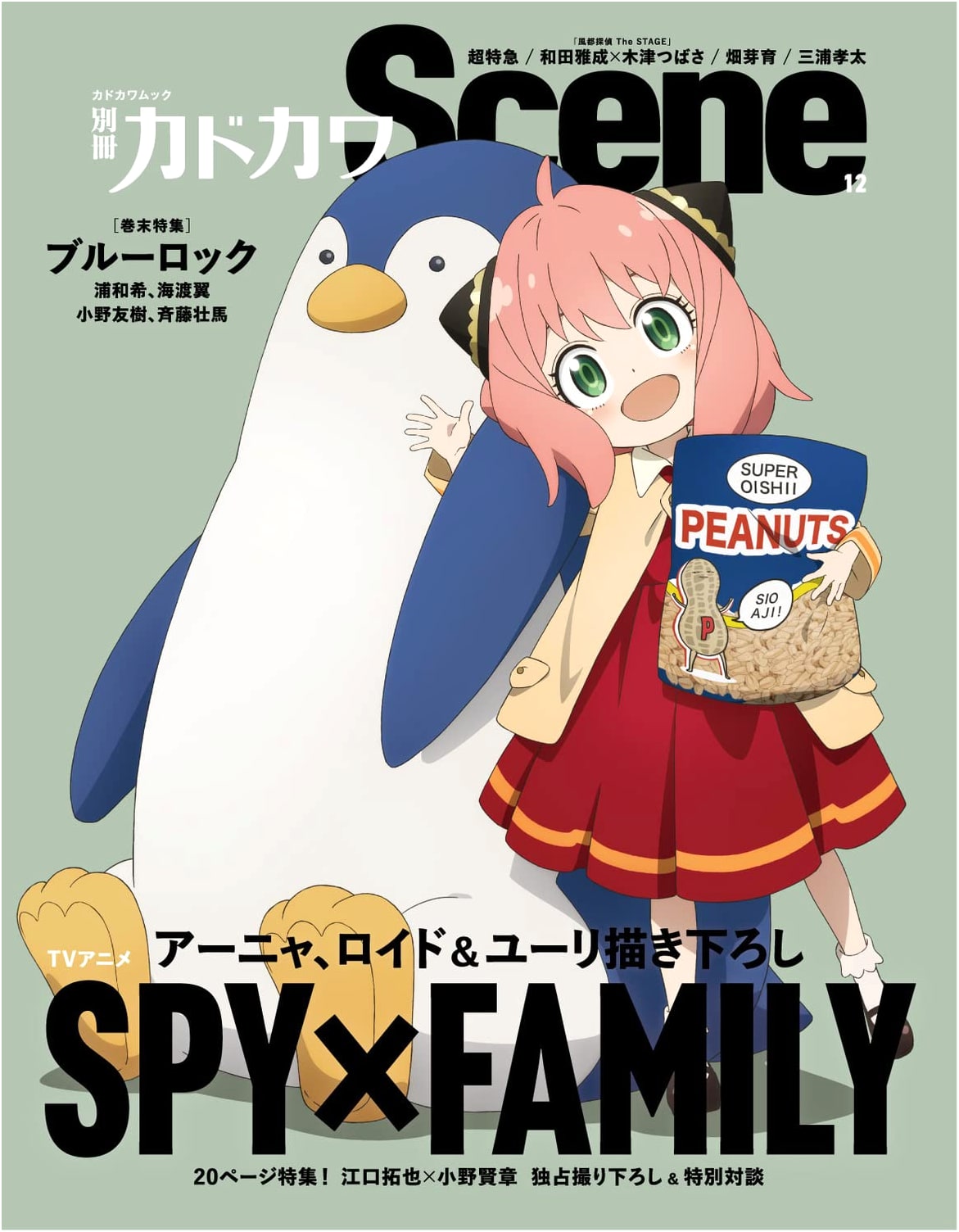 Kadokawa Scene Vol. 12: Special Edition Mook