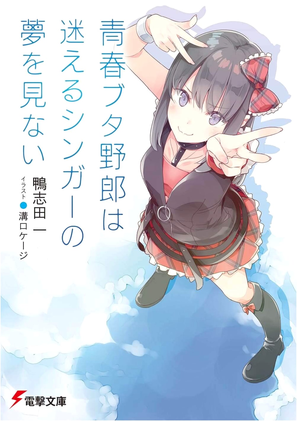 Rascal Does Not Dream of a Lost Singer (Dengeki Bunko)