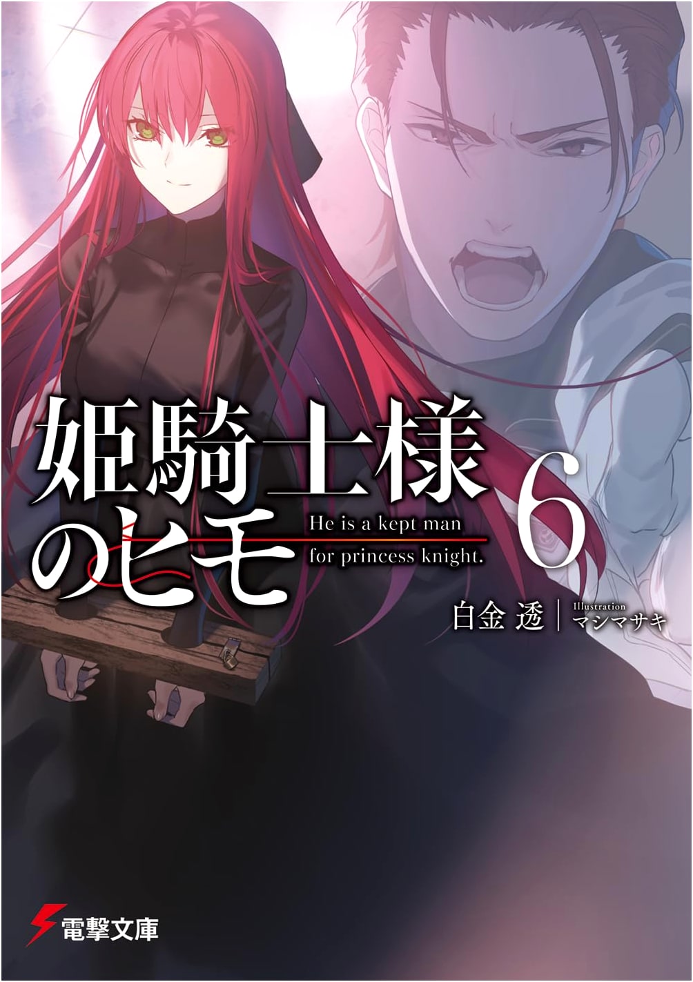Himekishi-sama no Himo 6 (Dengeki Bunko)