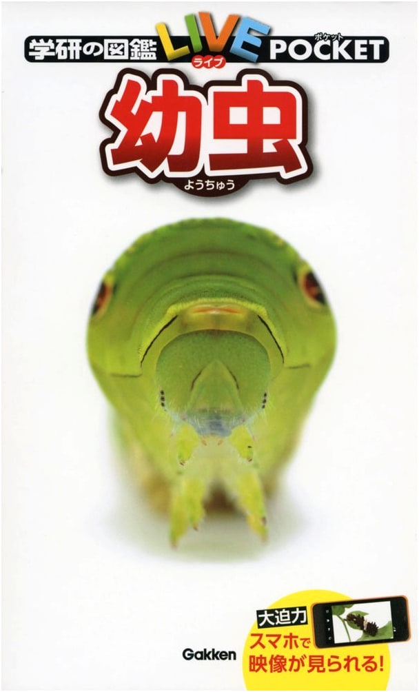 Larvae (Gakken's Illustrated Encyclopedia LIVE Pocket, Vol. 4)
