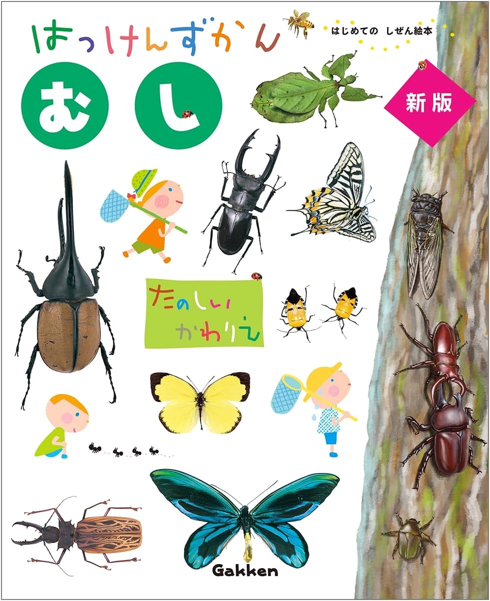 Insects: A Discovery Picture Book for Ages 3-6