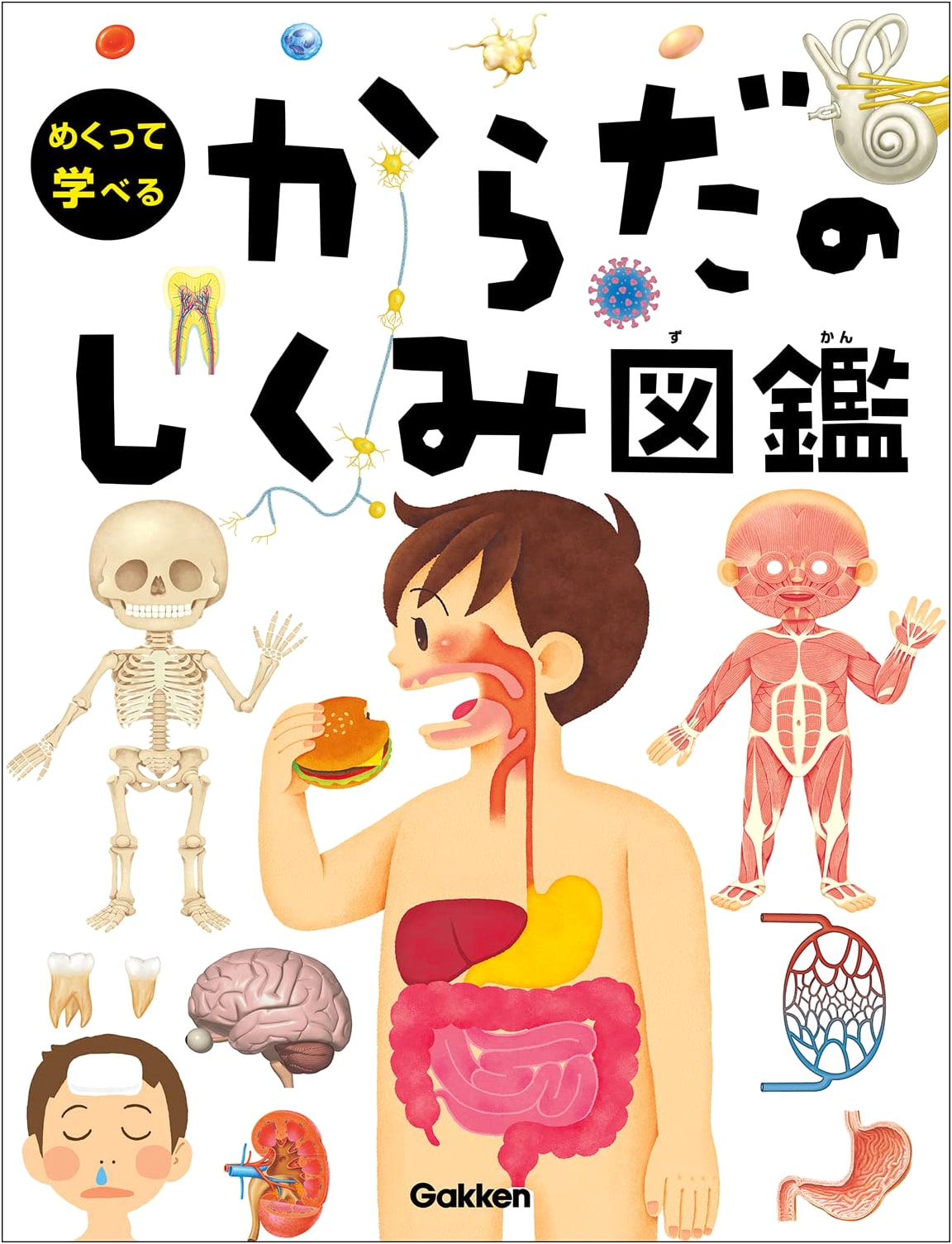 Lift-the-Flap Body Systems Encyclopedia by Kazuhisa Abe (Gakken)