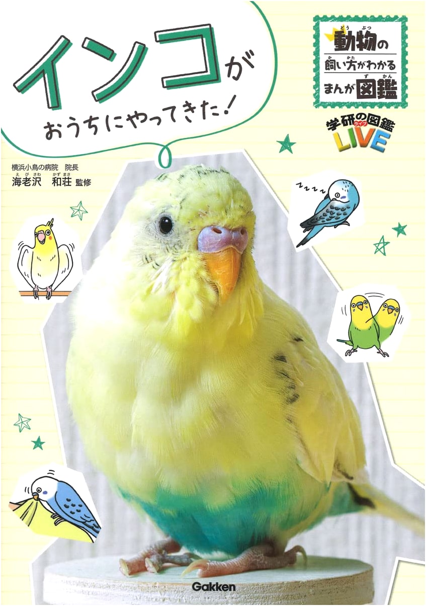 A Parrot Comes Home! Manga Guide to Keeping Pets
