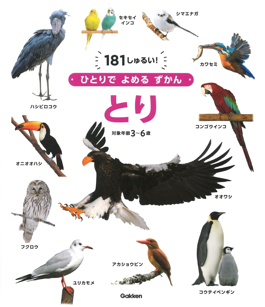 The World of Birds
