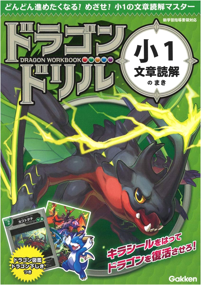 Dragon Drill: 1st Grade Japanese Reading Comprehension