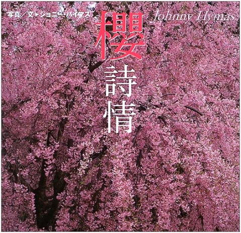 Cherry Blossom Poetry by Joni Hyams