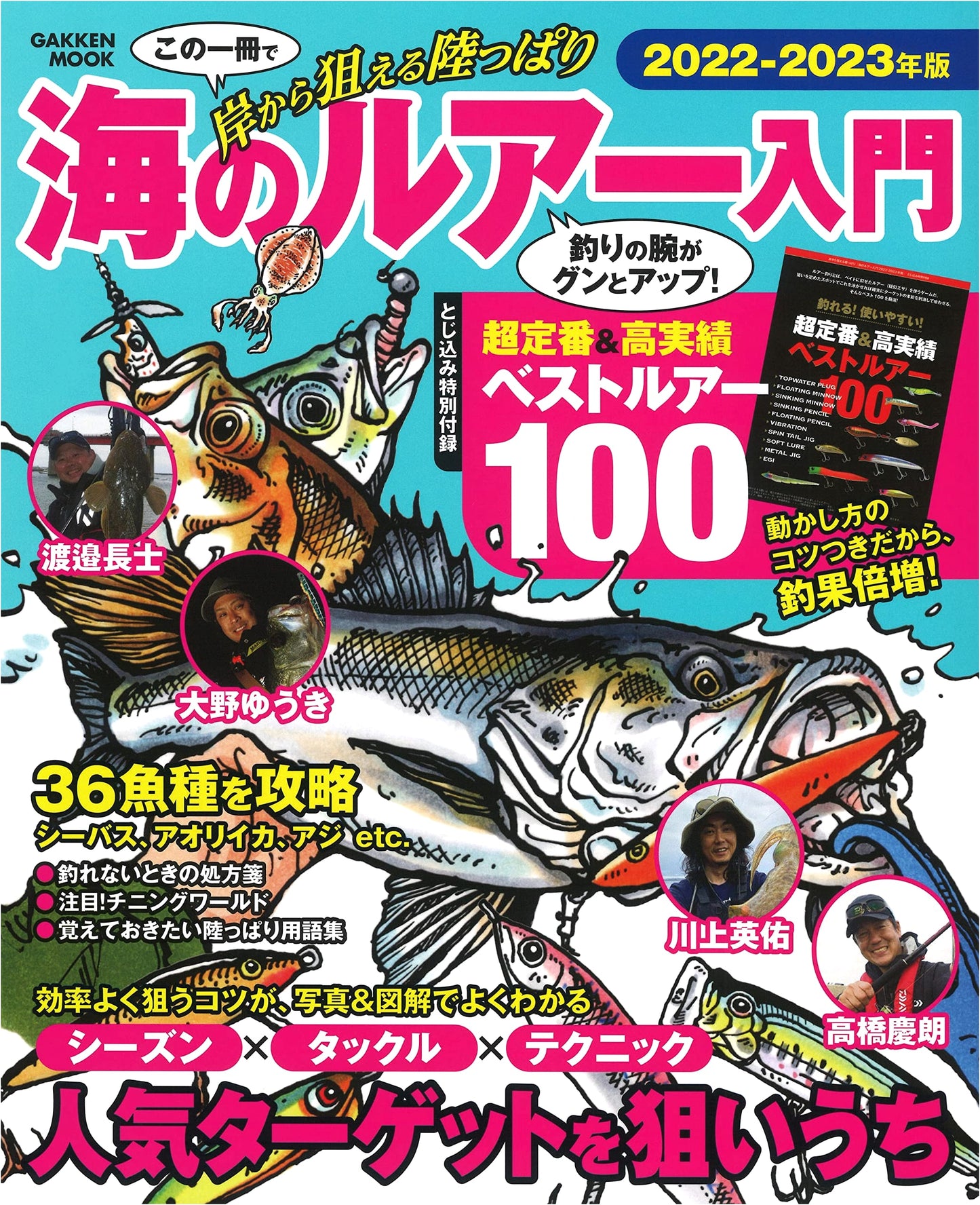 Introduction to Sea Lure Fishing 2022-2023: Shore-based Angling from Land