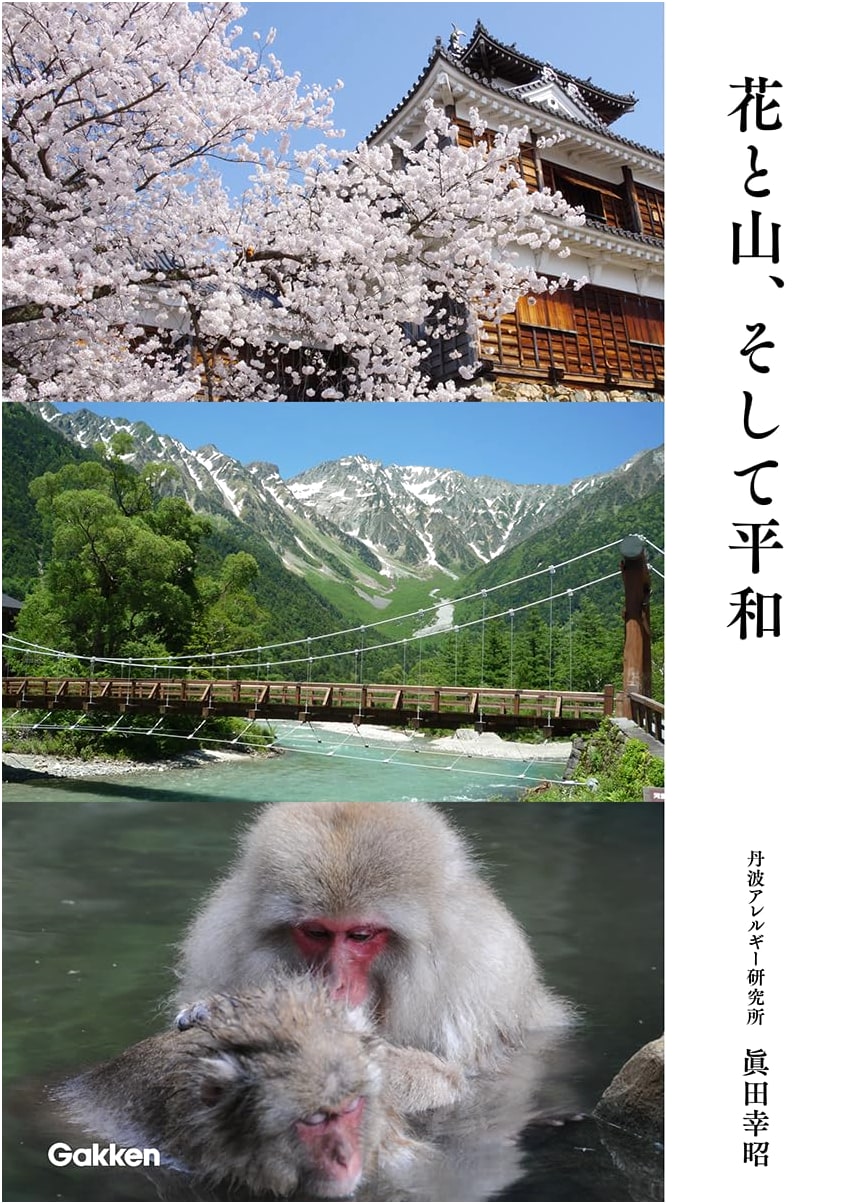 Flowers, Mountains, and Peace by Sanada, Yukichika