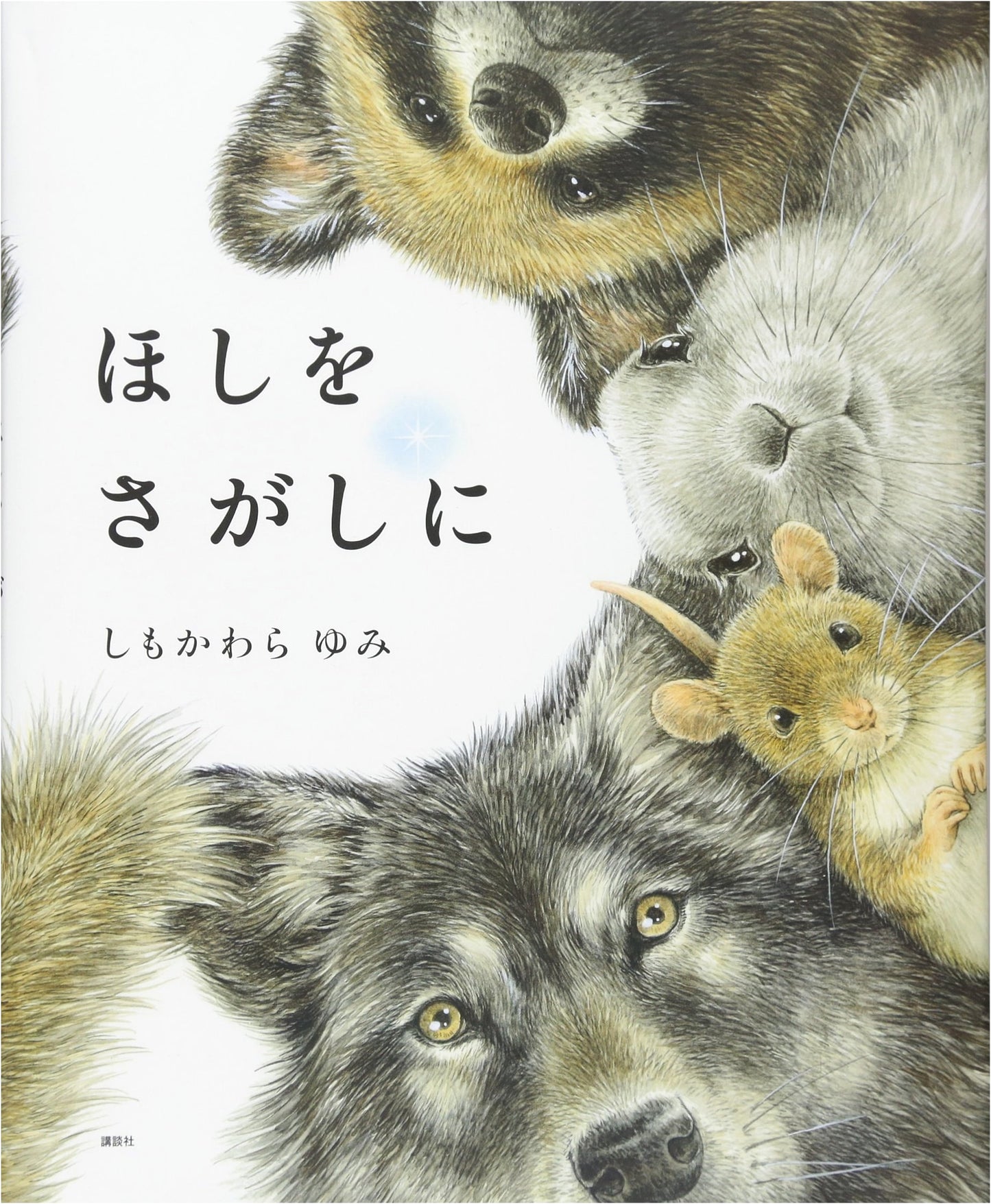 Searching for Stars (Kodansha's Creative Picture Book Series)
