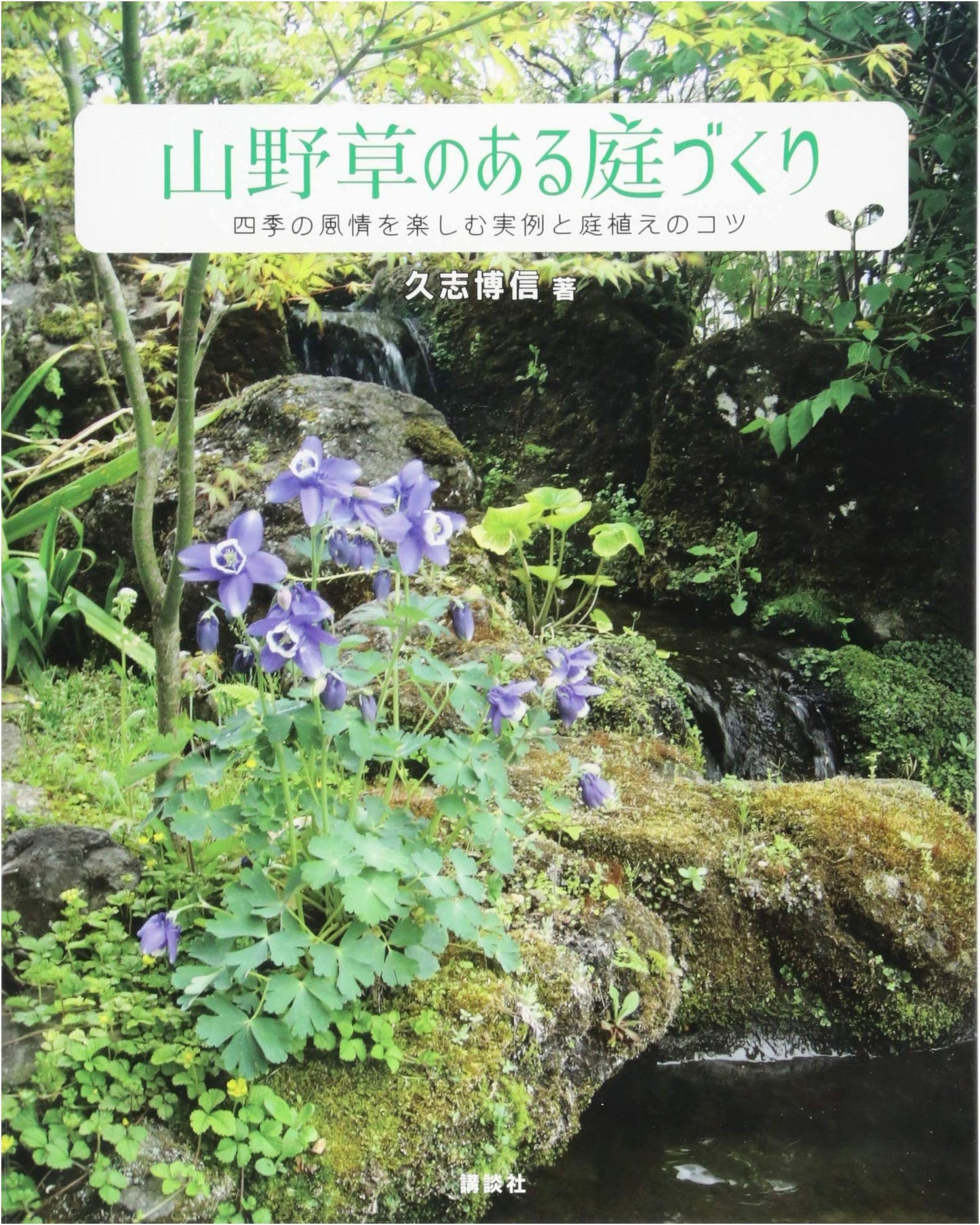 Creating a Wildflower Garden: Practical Examples & Planting Tips by Hironobu Hisashi