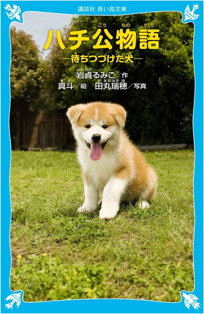 Hachiko Story: The Dog Who Waited
