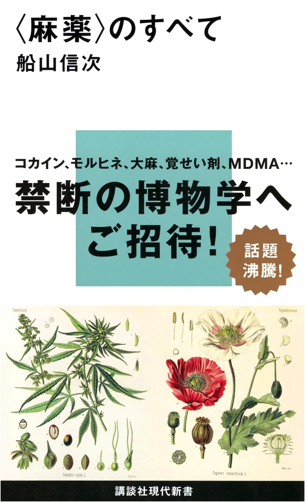 Everything About Narcotics