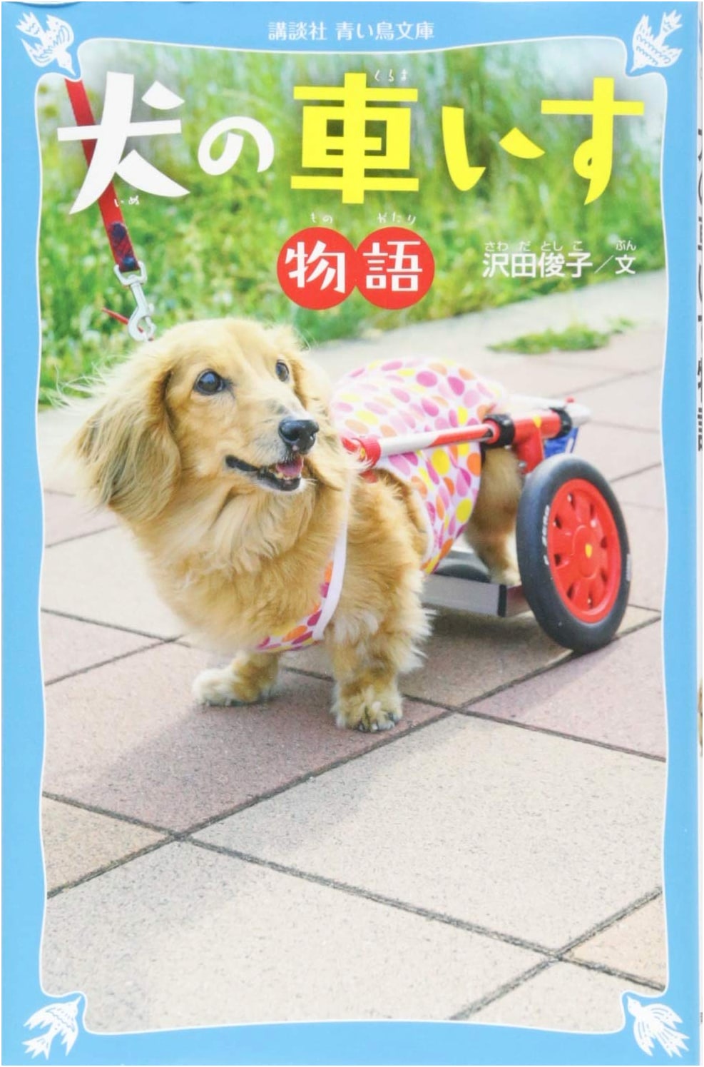 A Dog's Wheelchair Story