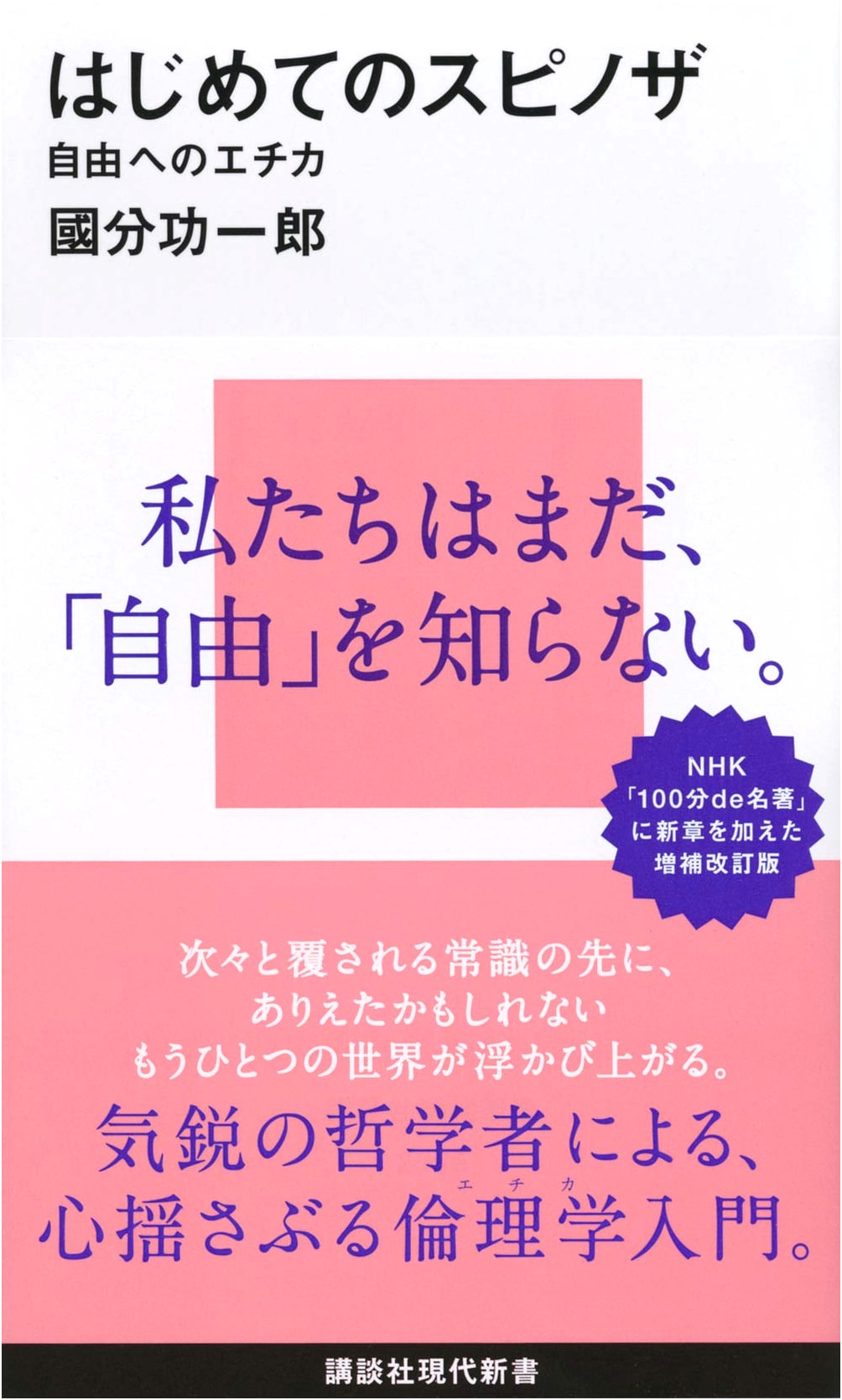 Spinoza for Beginners: Ethics for Freedom by Koichiro Kokubun