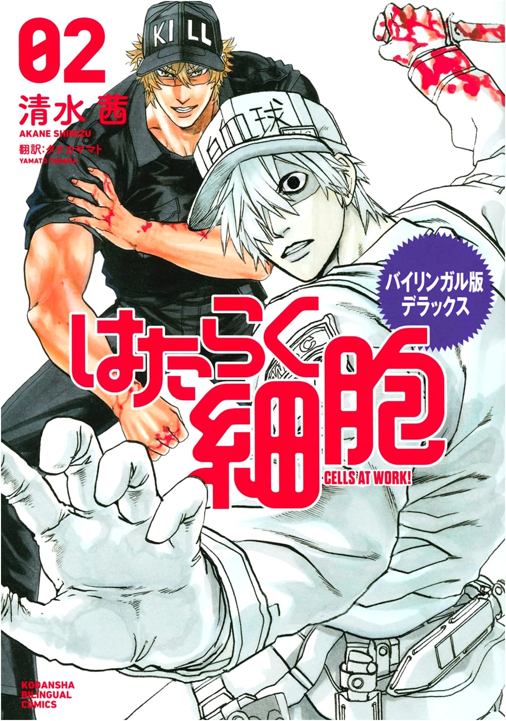Bilingual Deluxe Edition: Cells at Work! Vol. 2 (Kodansha Bilingual Comics)