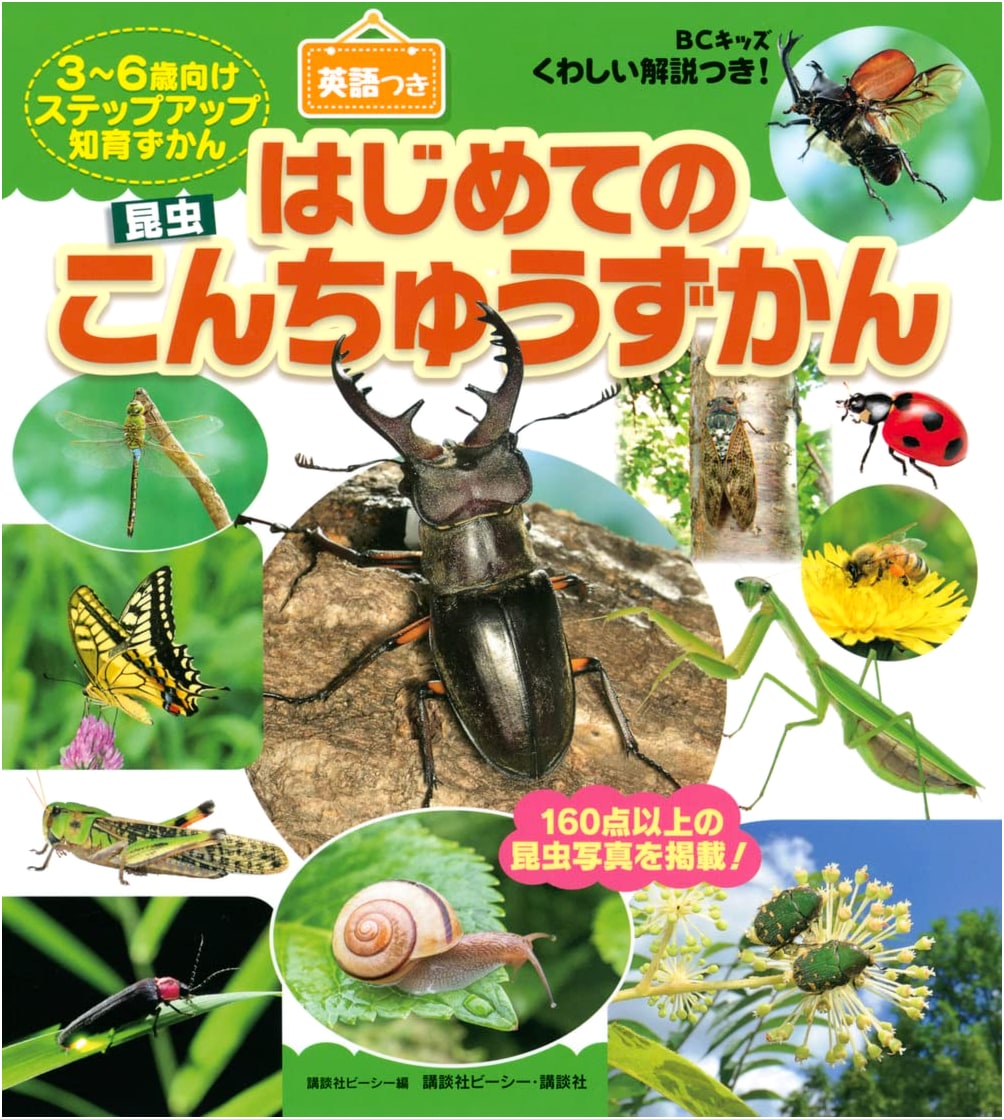 BC Kids: First Insect Picture Book with Detailed Explanations (English Included)