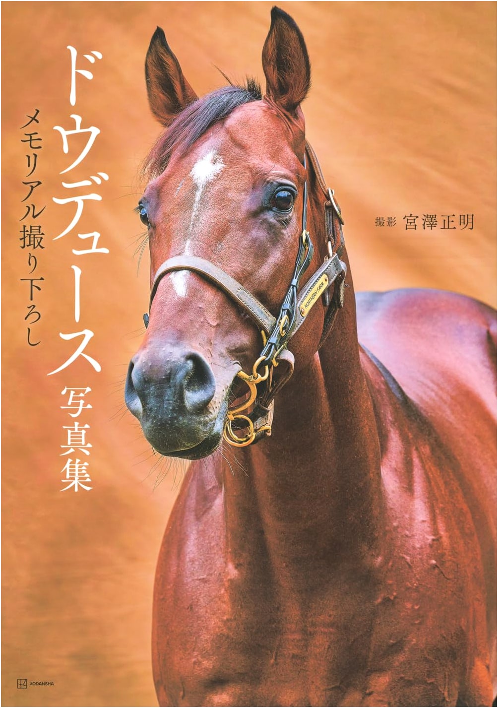 Do Deuce Memorial Photobook: Special Commemorative Edition