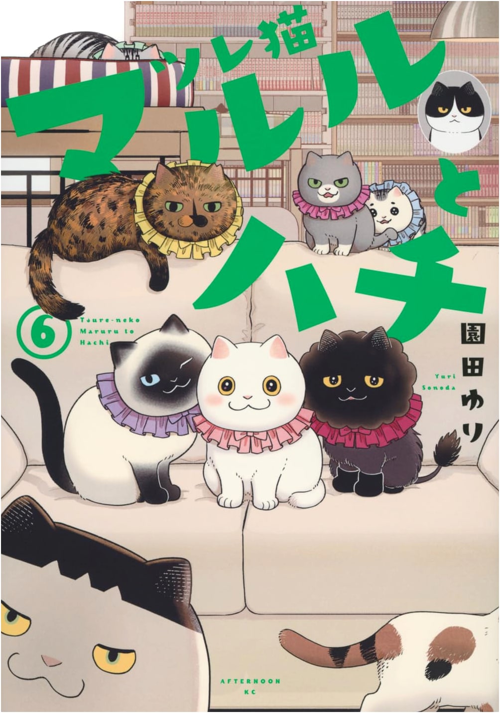 Tsureneko Maruru to Hachi, Vol. 6 (Afternoon KC Manga Series)