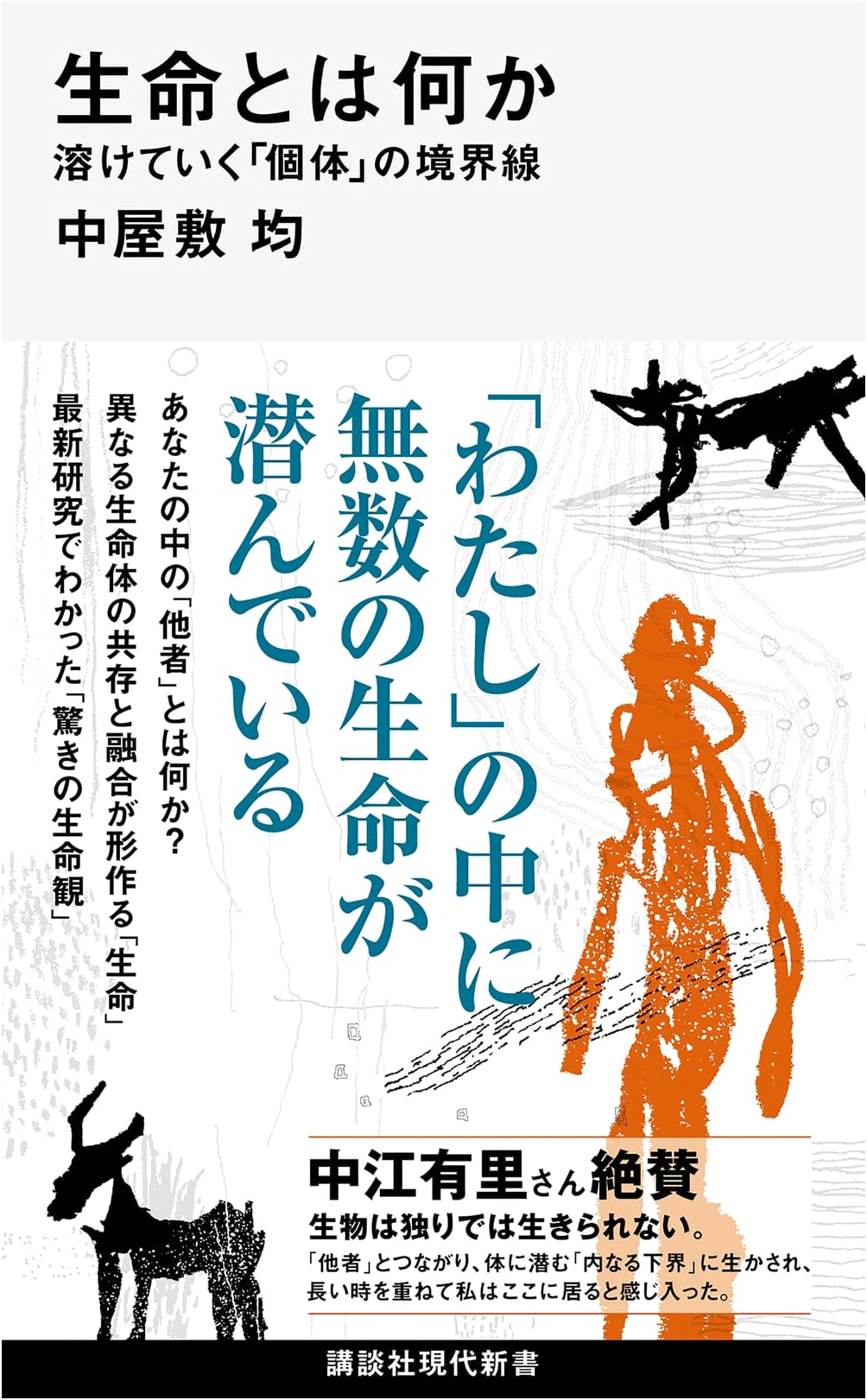 What is Life?: Dissolving Boundaries of the Individual by Hitoshi Nakayashiki