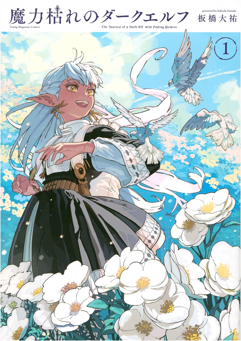 Magic-Depleted Dark Elf, Vol. 1