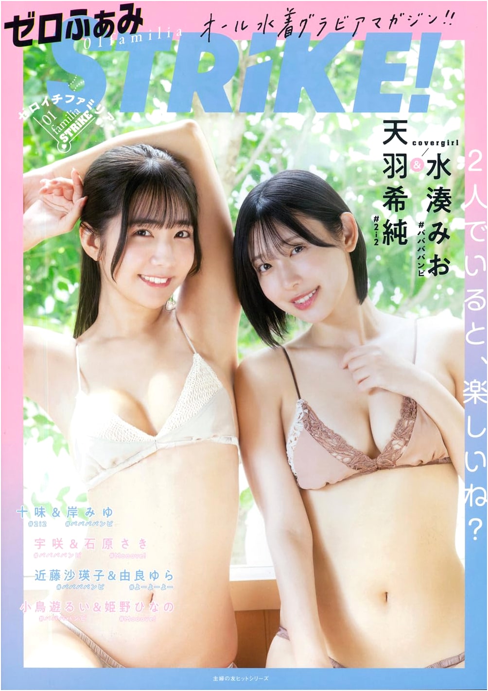 Zero Fami STRiKE! (Shufu no Tomo Hit Series)