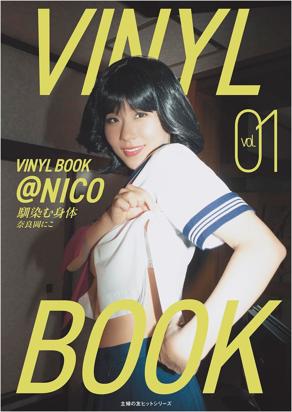 VINYL BOOK @NICO Vol. 01 (Shufunotomo Hit Series)