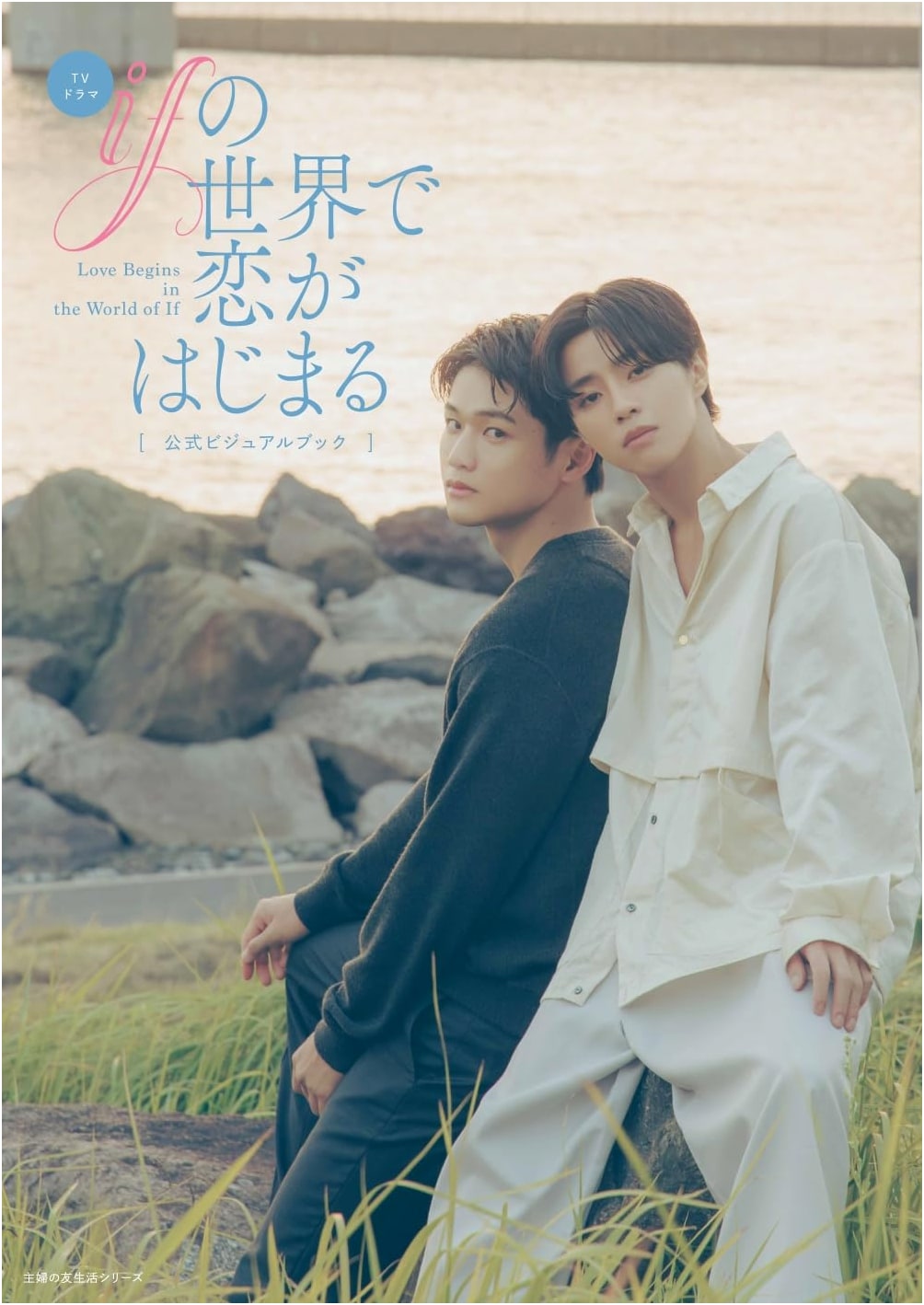 If Love Starts in Another World: Official Visual Book