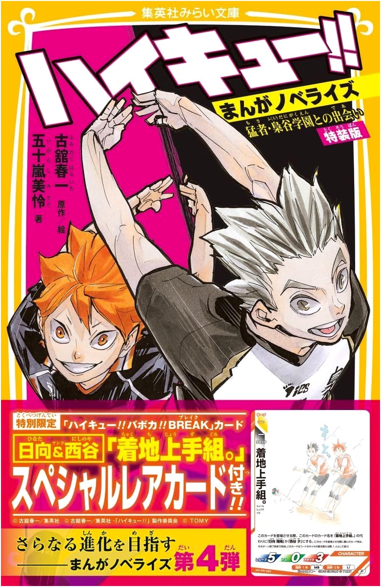 Haikyu!! Manga Novelization: Encounter with Fukurodani Academy - Special Edition