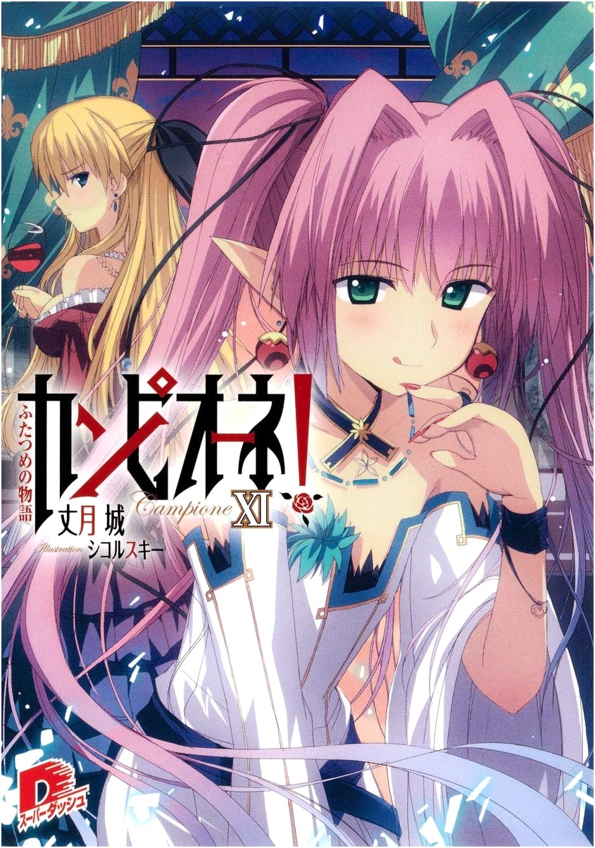 Campione! Vol. 11: The Second Story (Super Dash Bunko)