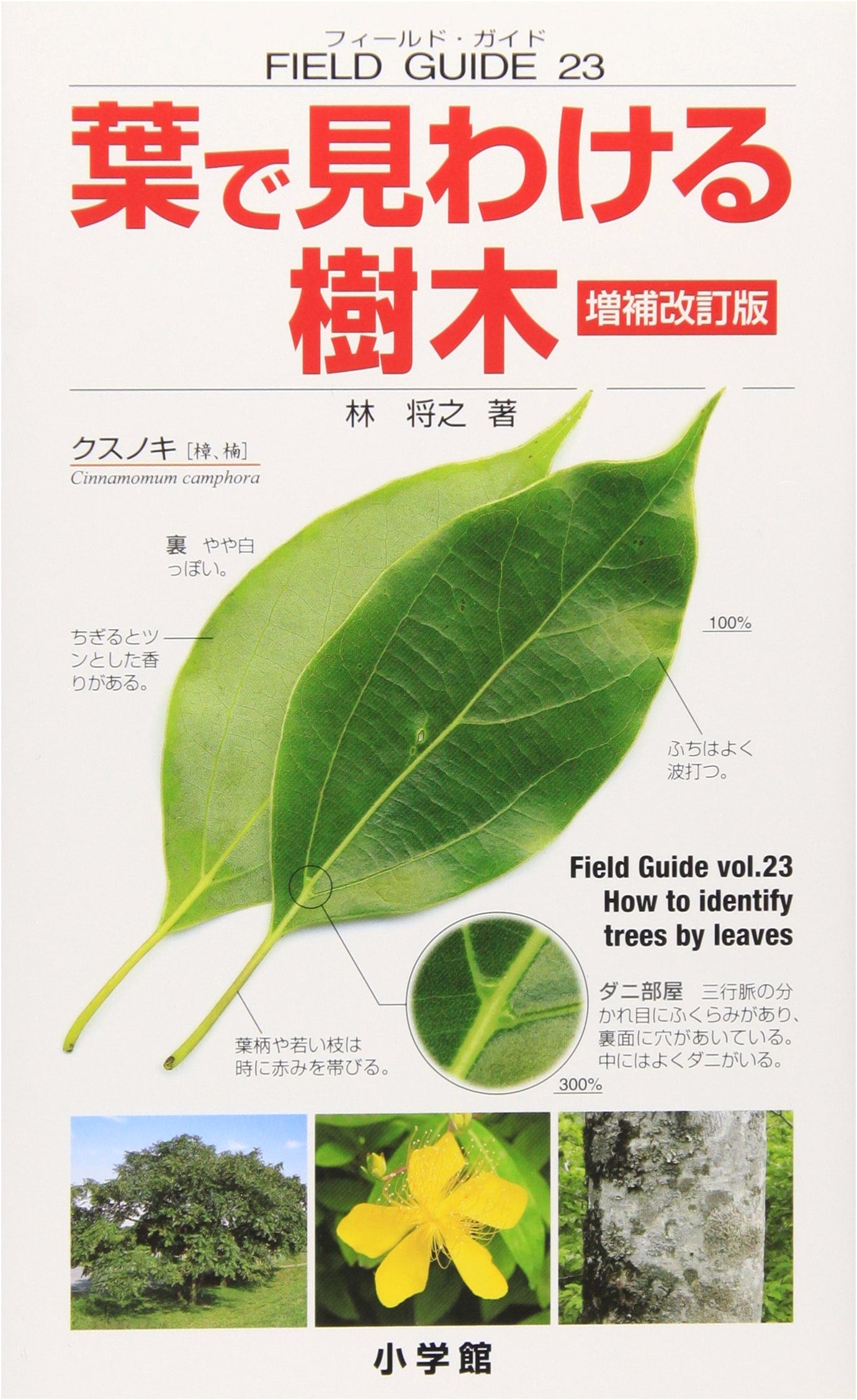 Field Guide Series 23: Trees Identified by Their Leaves, Revised & Expanded Ed. by Masayuki Hayashi