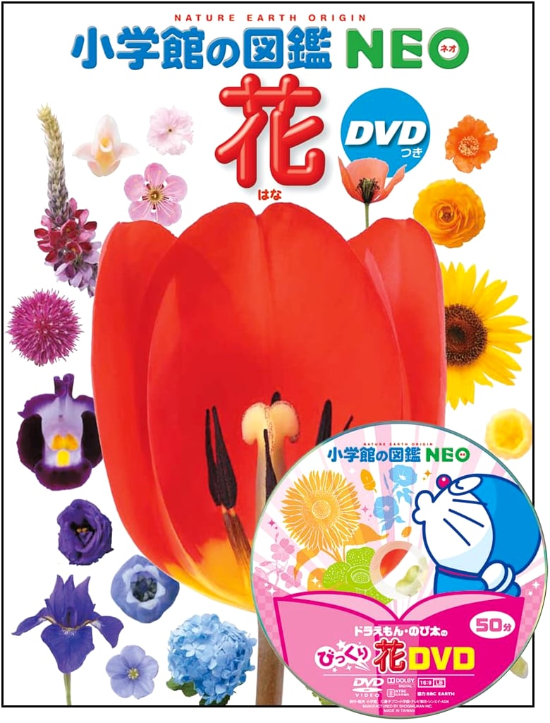 Flowers (Shogakukan's Illustrated NEO): Includes DVD by Taeko Tada