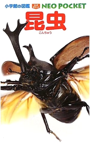Insects by Ryuichiro Machida