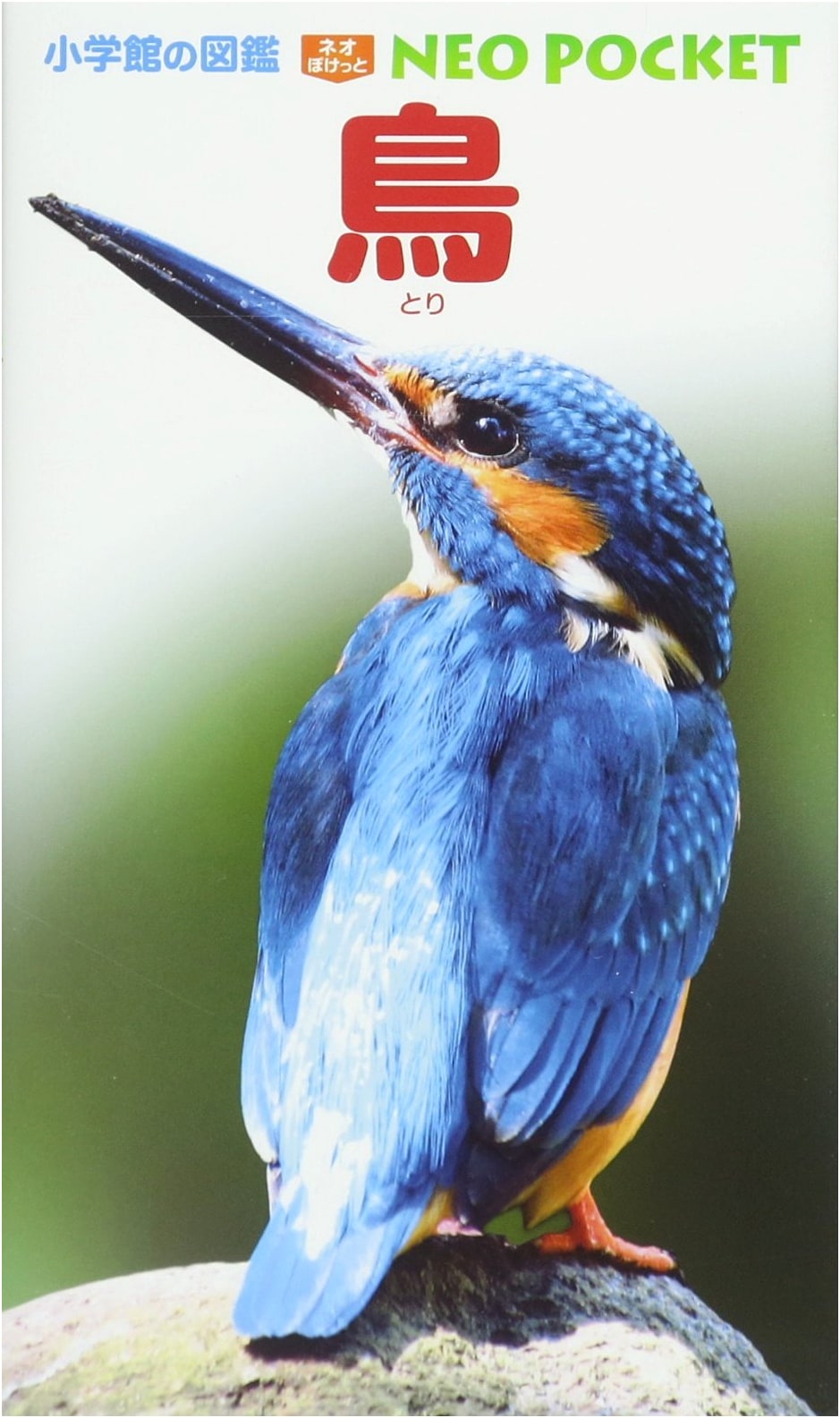 Birds (Shogakukan's Illustrated Pocket Encyclopedia NEO) by Osamu Yunoki