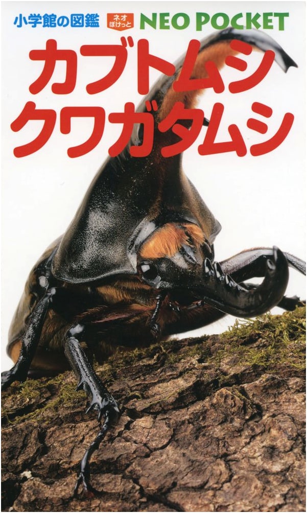 Stag Beetles & Rhinoceros Beetles (Shogakukan Neo Pocket Encyclopedia 10)