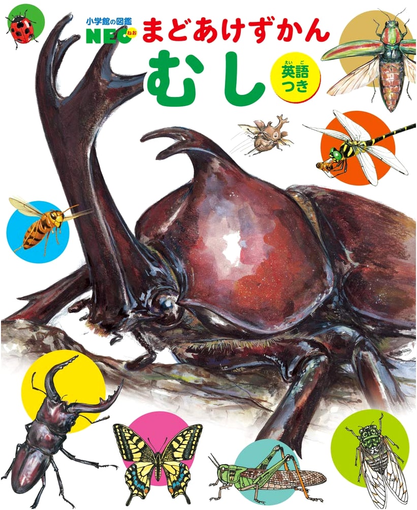 Bugs (Shogakukan's Zukan NEO Lift-the-Flap Picture Book 4)