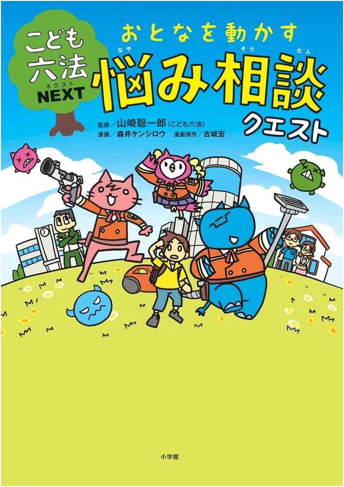 Children's Legal Guide NEXT: Problem Solving Quest for Influencing Adults